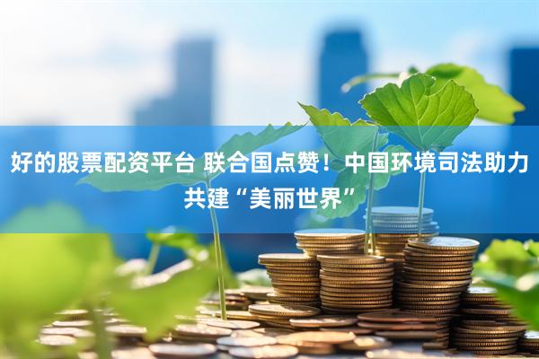 好的股票配资平台 联合国点赞！中国环境司法助力共建“美丽世界”