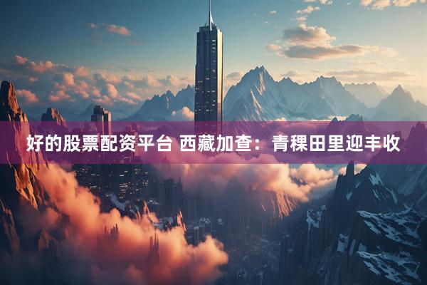 好的股票配资平台 西藏加查：青稞田里迎丰收