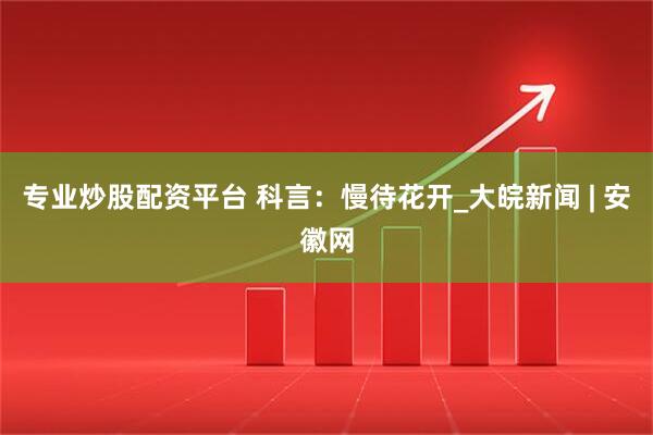 专业炒股配资平台 科言：慢待花开_大皖新闻 | 安徽网