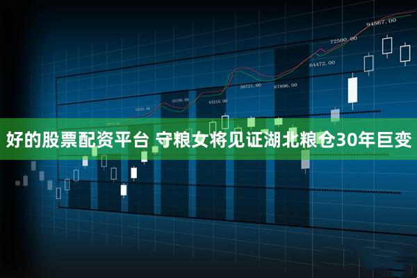 好的股票配资平台 守粮女将见证湖北粮仓30年巨变