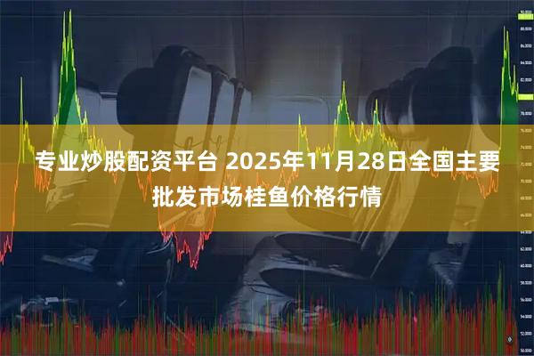 专业炒股配资平台 2025年11月28日全国主要批发市场桂鱼价格行情